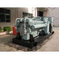 Mtu Diesel Generator Set (BMX520)